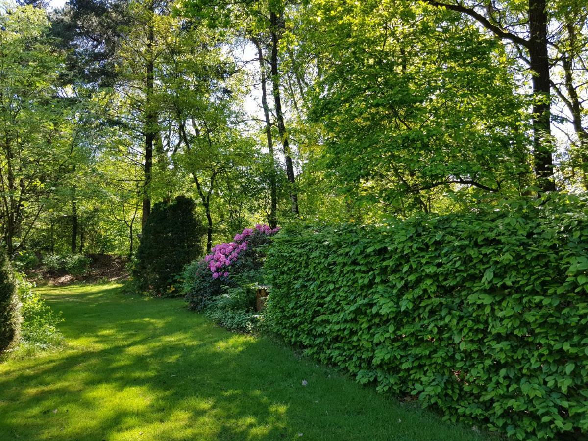 Knusse Bungalow Otterlo Veluwe Eksteriør bilde