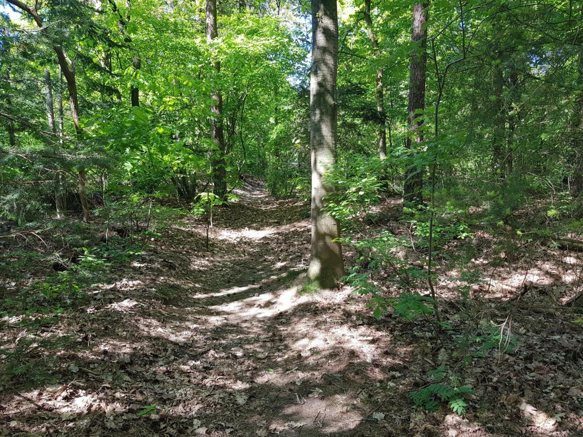 Knusse Bungalow Otterlo Veluwe Eksteriør bilde