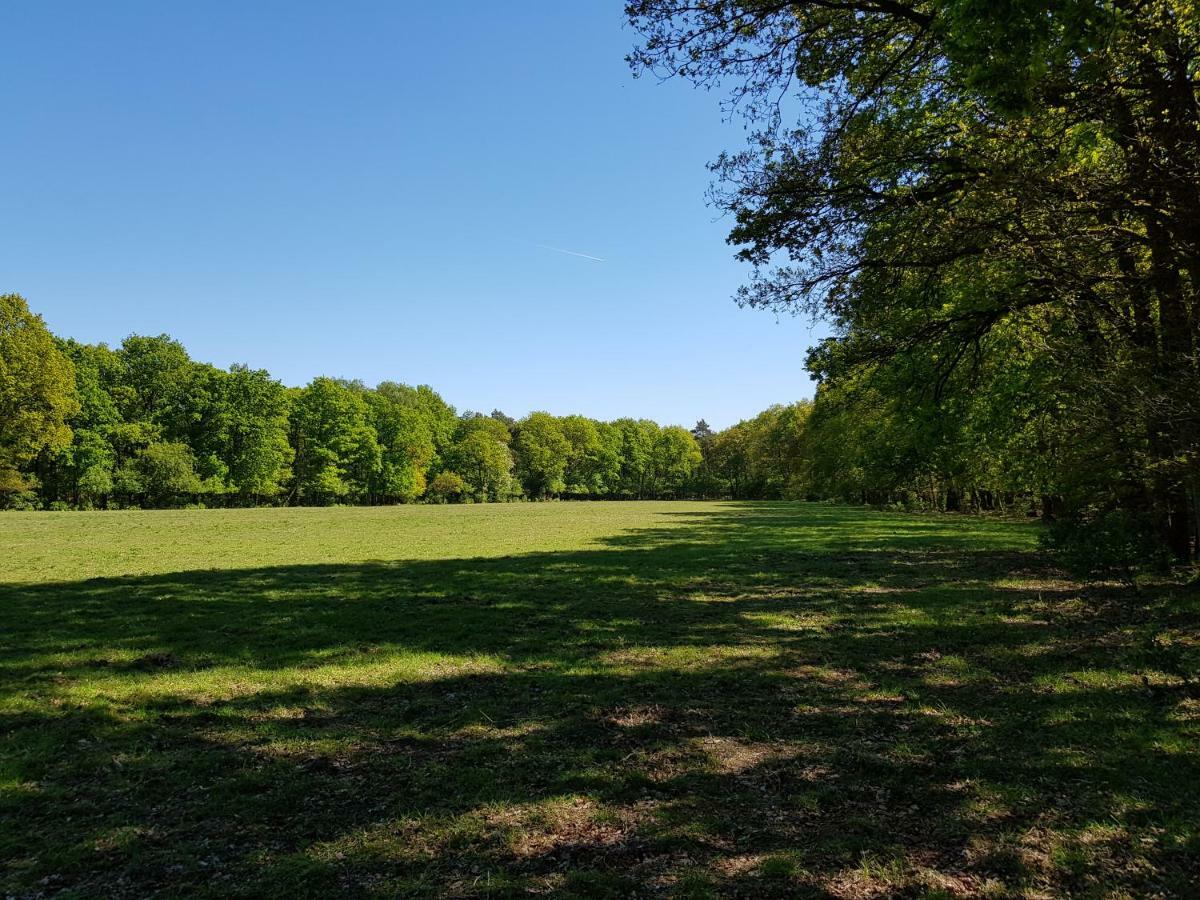 Knusse Bungalow Otterlo Veluwe Eksteriør bilde