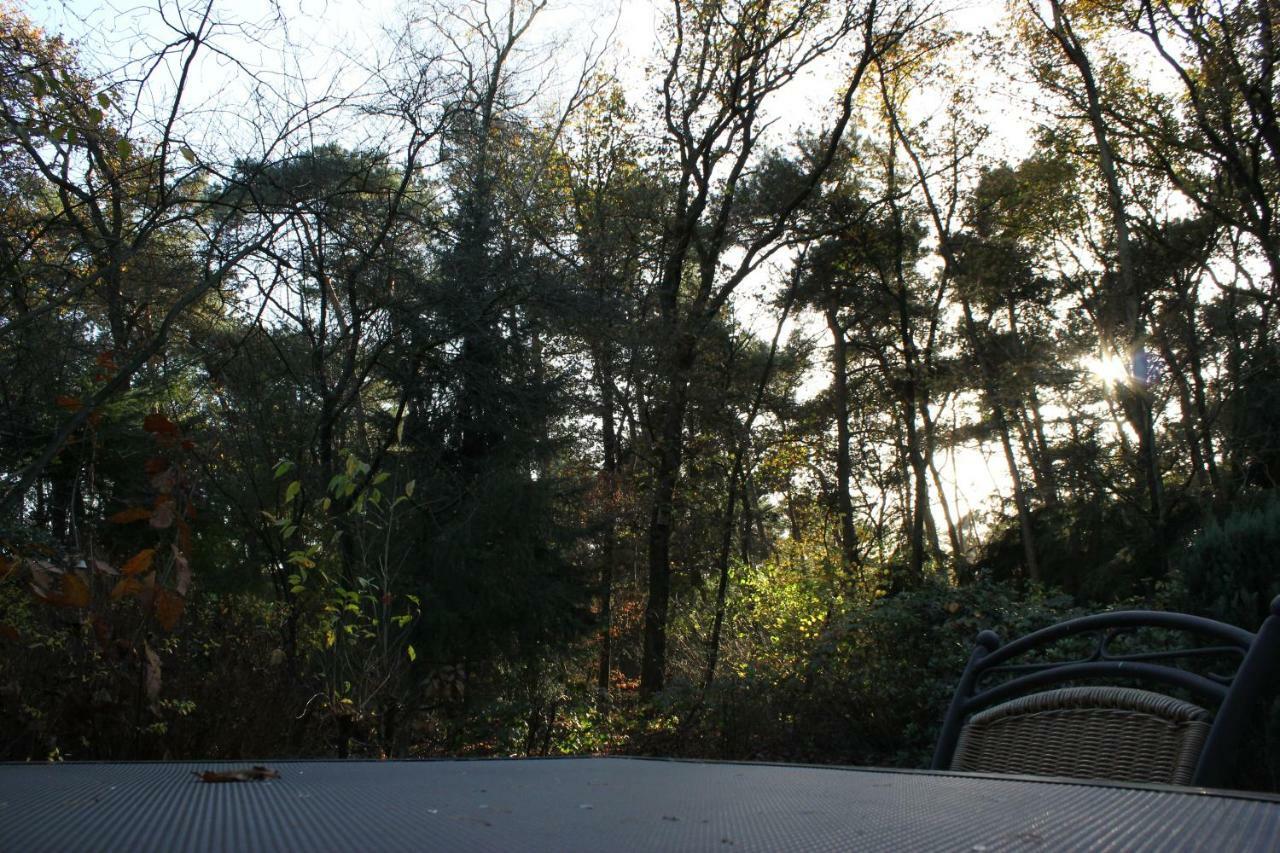 Knusse Bungalow Otterlo Veluwe Eksteriør bilde
