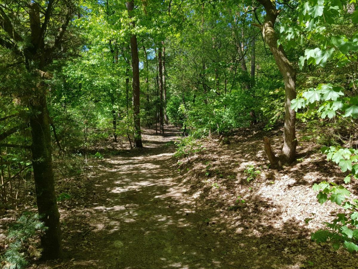 Knusse Bungalow Otterlo Veluwe Eksteriør bilde