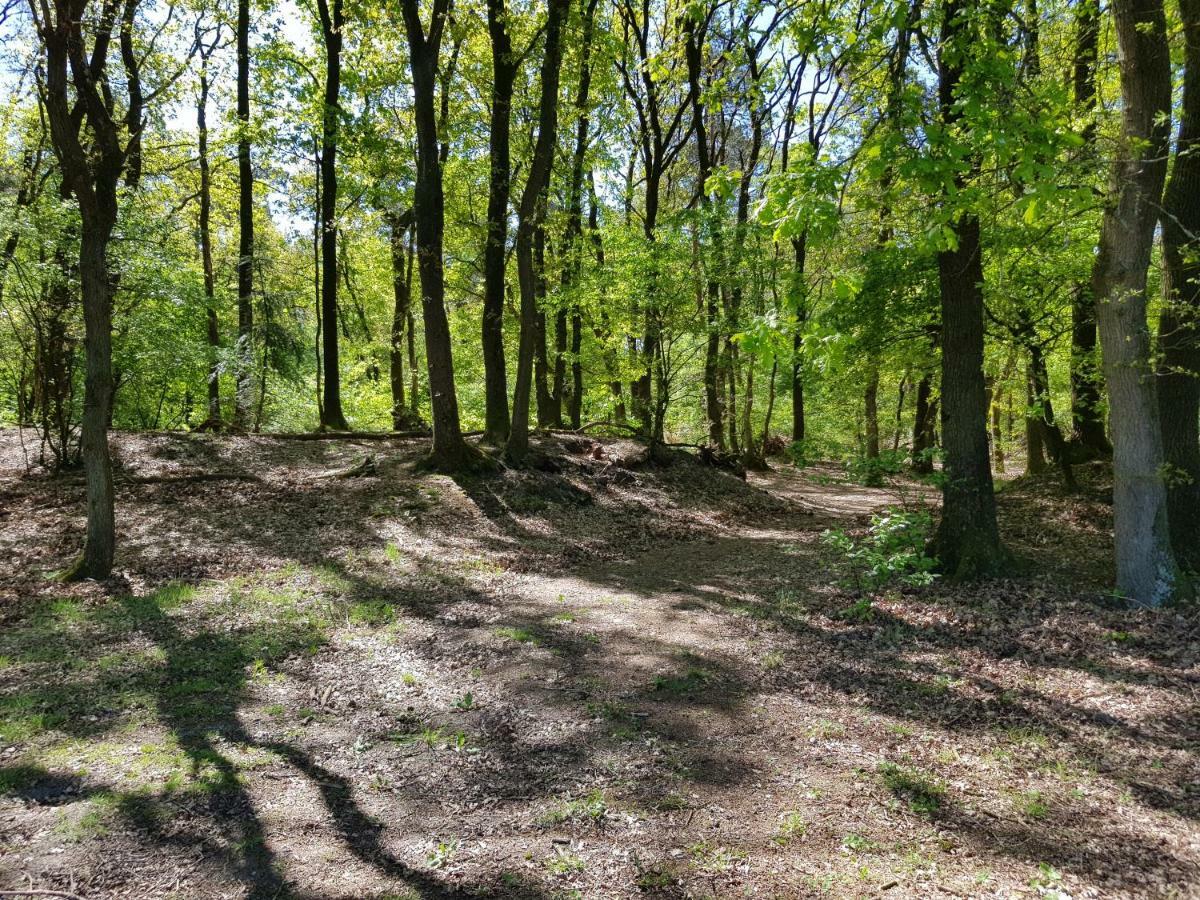 Knusse Bungalow Otterlo Veluwe Eksteriør bilde
