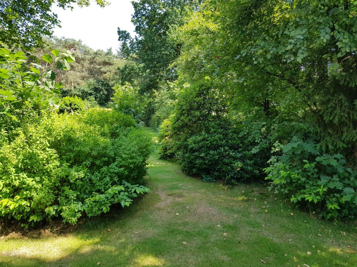 Knusse Bungalow Otterlo Veluwe Eksteriør bilde